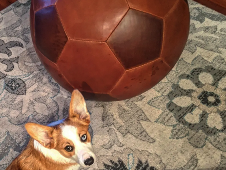 A Hand-made Futbol w/ a corgi for scale