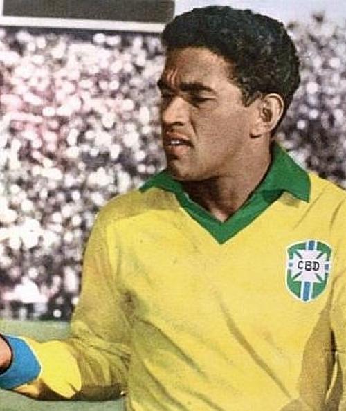 Garrincha - The Genius of Dribble